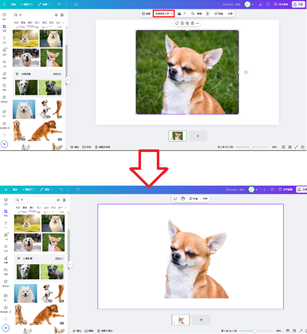 CANVA